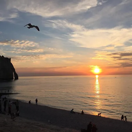 Les Hortensias 14 A 20 Pers 10min D'etretat Nyaraló *