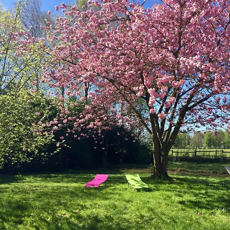 Nyaraló Les Hortensias 14 A 20 Pers 10min D'etretat
